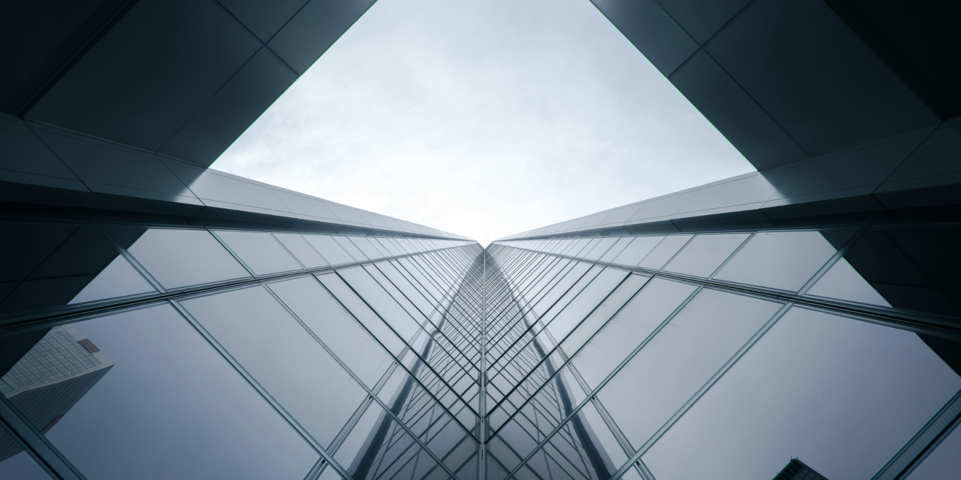 THE CRIMINAL DEFENCE EXPERT